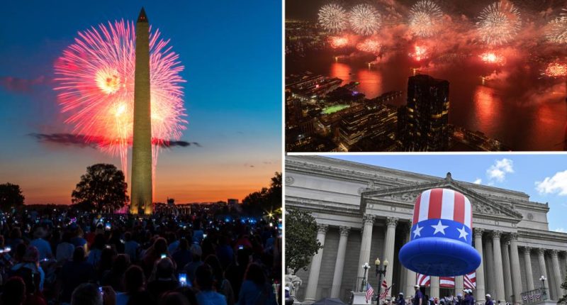 Americans at July 4th celebrations warned of lone wolf terrorist threat
