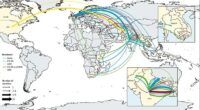 Our study found resistant typhoid crossed borders 197 times since 1990 - mostly within South Asia, and spreading to Africa and beyond