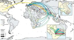 Our study found resistant typhoid crossed borders 197 times since 1990 - mostly within South Asia, and spreading to Africa and beyond