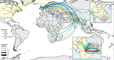 Our study found resistant typhoid crossed borders 197 times since 1990 - mostly within South Asia, and spreading to Africa and beyond