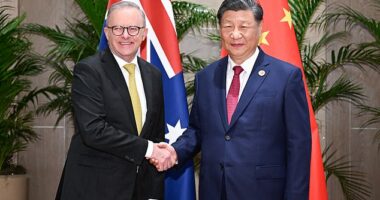 Prime Minister Anthony Albanese (left) will meet with Chinese President Xi Jinping (right) this weekend (the pair are pictured at the G20 Summit in 2024)