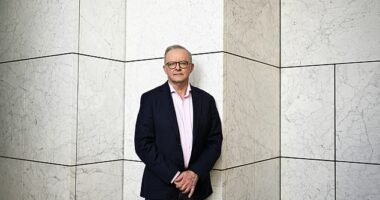 Students and graduates will soon see a reduction in their HECS debts and save hundreds of dollars a year thanks to new legislation from the Albanese government