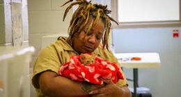 Fostering a kitty at the Flagler County jail. (FCSO)