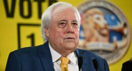 Palmer's two multi-milliondollar political ventures, the United Australia Party (UAP) and Trumpet of Patriots (TOP), fell victim to a ransomware breach on June 23
