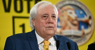 Palmer's two multi-milliondollar political ventures, the United Australia Party (UAP) and Trumpet of Patriots (TOP), fell victim to a ransomware breach on June 23
