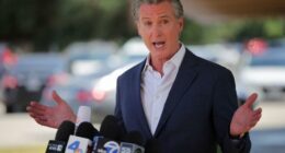 Behind the ‘boondoggle’ of Gavin Newsom’s high-speed rail dream