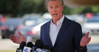 Behind the ‘boondoggle’ of Gavin Newsom’s high-speed rail dream