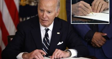 Biden defends controversial autopen use for mass clemency decisions in NYT interview: ‘A whole lot of people’