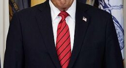 President Donald Trump
