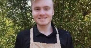 Sex crime cops investigating accused childcare paedophile Joshua Dale Brown (pictured) have uncovered more centres where the suspected sex offender worked