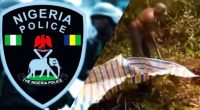 Businessman in Edo killed by own workers after ransom payment