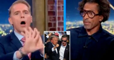 CNN panel devolves into chaos after lefty commentator suggests Trump wasn’t actually shot in the ear