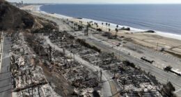 California Bill Passes to Grab Palisades Land as Trump Envoy Speaks Out