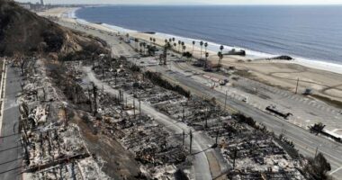 California Bill Passes to Grab Palisades Land as Trump Envoy Speaks Out