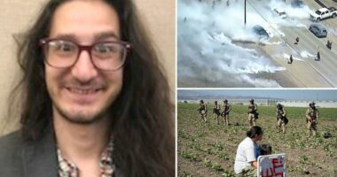 California professor arrested for  allegedly tossing tear gas canister at ICE agents during raid on cannabis farm