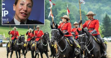 Canadian police official warns ‘traditional values’ may be sign a person is becoming ‘extremist’