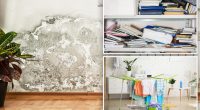 Common household items that make mold growth in your home even worse