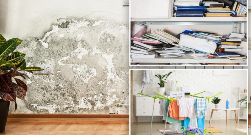 Common household items that make mold growth in your home even worse