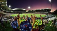 Many cricket fans think there's nothing more Aussie than going to the cricket on Australia Day (pictured) - but the governing body has other ideas