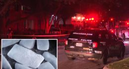Couple killed in wine cellar mishap with dry ice as they prep for July 4 bash : reports