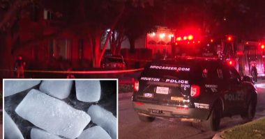 Couple killed in wine cellar mishap with dry ice as they prep for July 4 bash : reports