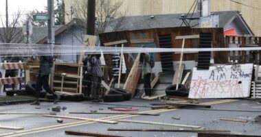 Crime and Craziness in Portland
