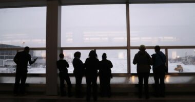 DESPICABLE: JFK Airport Forced to Issue Travel Warning Amid Antisemitic Protests