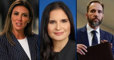 DOJ proclaims Alina Habba situation is 'nothing like' special counsel Jack Smith appointment that Judge Cannon smacked down