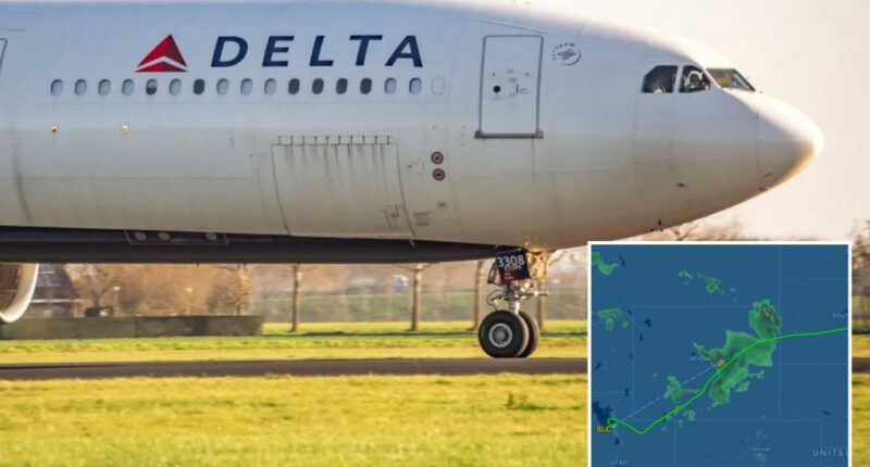 Delta flight diverted after being hit by turbulence, 25 passengers hospitalized