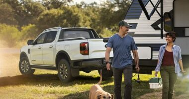 The sales boss of an electric car company has suggested many ute drivers in Australia aren't even tradies and were simply buying them to avoid paying tax (pictured is a Ford Ranger ute)