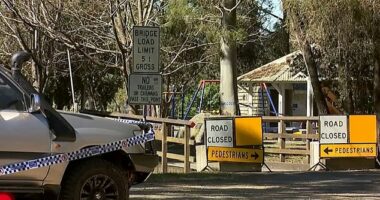 A 42-year-old man has been charged with manslaughter after a baby was found drowned in a lake near Brisbane