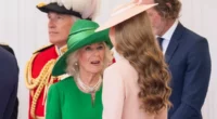 Expert Reveals Reason Queen Camilla and Kate Wore Such Interesting Colors to Welcome French President Emmanuel Macron and His Wife, Brigitte