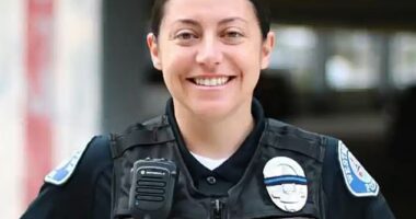 Nicole Brown (pictured), 39, was charged with 15 felonies in May after authorities found she was faking a disability for an extensive leave