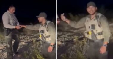 Fiendish New Mexico sheriff’s deputy fatally throws helpless baby rabbit against side of car: video shows