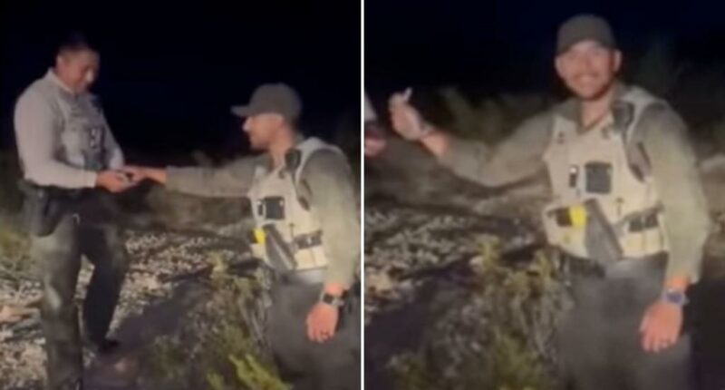 Fiendish New Mexico sheriff’s deputy fatally throws helpless baby rabbit against side of car: video shows