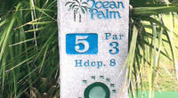 Rustic and beloved: the 5th hole sign at Ocean Palm Golf Club in Flagler Beach. (Flagler Beach)