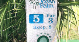 Rustic and beloved: the 5th hole sign at Ocean Palm Golf Club in Flagler Beach. (Flagler Beach)