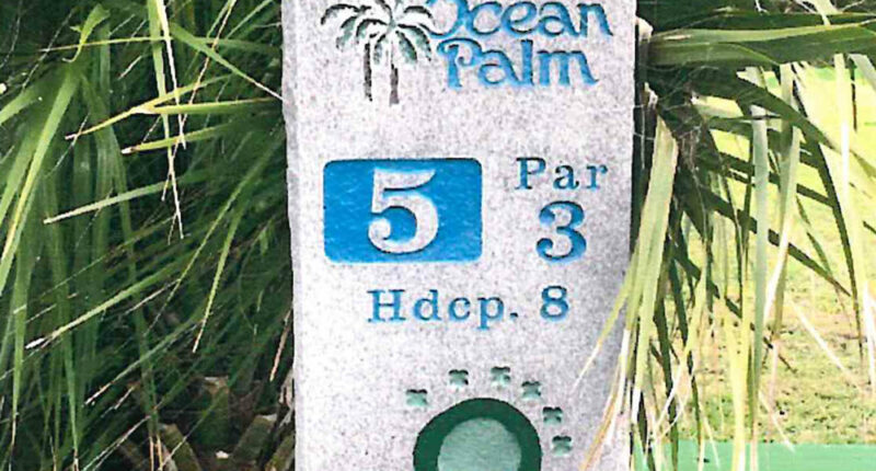 Rustic and beloved: the 5th hole sign at Ocean Palm Golf Club in Flagler Beach. (Flagler Beach)