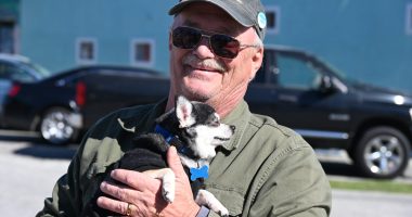 Naturally partial to pets, Flagler Beach Commissioner Rick Belhumeur has asked the city attorney to draft an ordinance that would allow for backyard chickens. The commission is receptive. (© FlaglerLive)