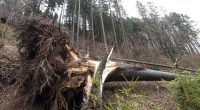 For All Their Vaunted Green Energy, the Germans Are Doing Some Strange and Contrary Things