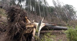 For All Their Vaunted Green Energy, the Germans Are Doing Some Strange and Contrary Things