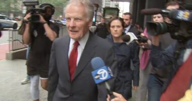 Former Illinois House Speaker Michael Madigan files motion for release during appeals process