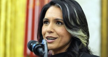 Gabbard Exposes Obama’s Direct Role in Orchestrating the Russia Hoax