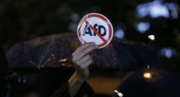 German Social Democrat Party Scrambling to Get AfD Banned