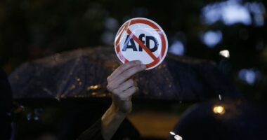 German Social Democrat Party Scrambling to Get AfD Banned