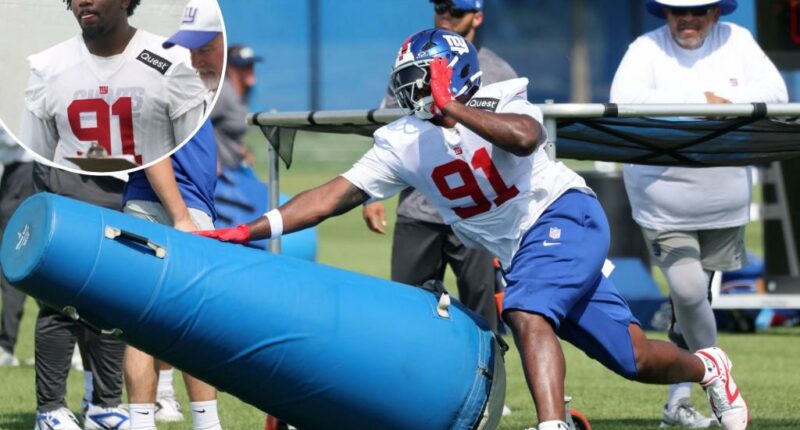 Giants have big plans for Darius Alexander, who’s just fine being the other rookie on defense