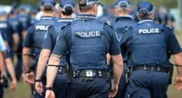 Lui was extradited to Townsville following investigations by Queensland Police (stock)