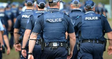 Lui was extradited to Townsville following investigations by Queensland Police (stock)