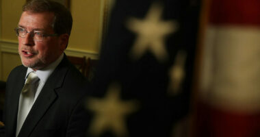 Grover Norquist, president of Americans for Tax Reform, speaks on Capitol Hill on Nov. 7, 2017.