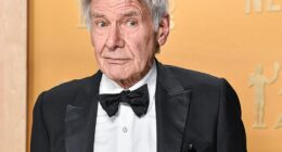 Harrison Ford landed his first-ever Emmy Award nomination for his performance as Dr. Paul Rhoades in the second season of Apple TV+ series Shrinking on Tuesday - just two days after celebrating his 83rd birthday (pictured February 23)